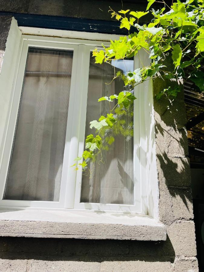 Studio Independant De 25M2 Apartment Vitry-sur-Seine Luaran gambar